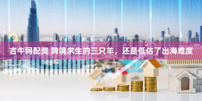 吉牛网配资 跨境求生的三只羊，还是低估了出海难度